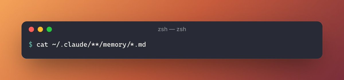 A screenshot of a terminal window with a dark background and light text, showing a command to concatenate markdown files from a specific directory path. The terminal window has red, yellow, and green circles in the top left corner, and "zsh - zsh" in the top center.