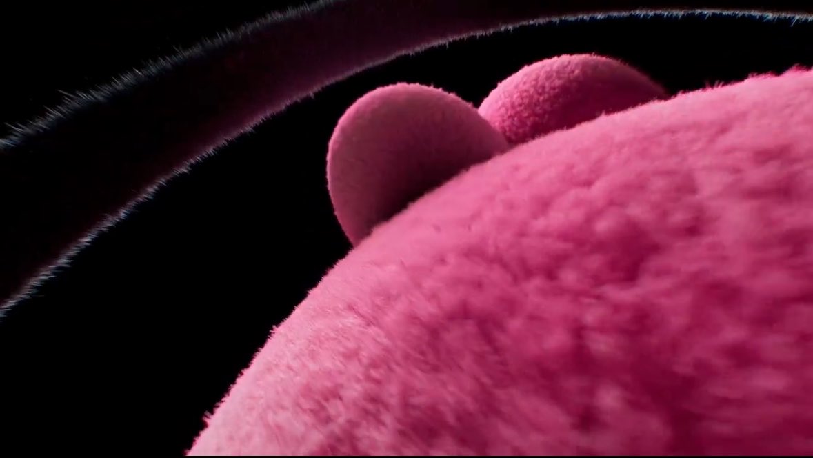 A close-up, low-angle shot of a fluffy, bright pink object, possibly a stuffed animal, against a dark background. Two rounded, ear-like protrusions are visible at the top, and a dark, fuzzy, curved line runs across the upper left, suggesting another part of the object or a separate element.