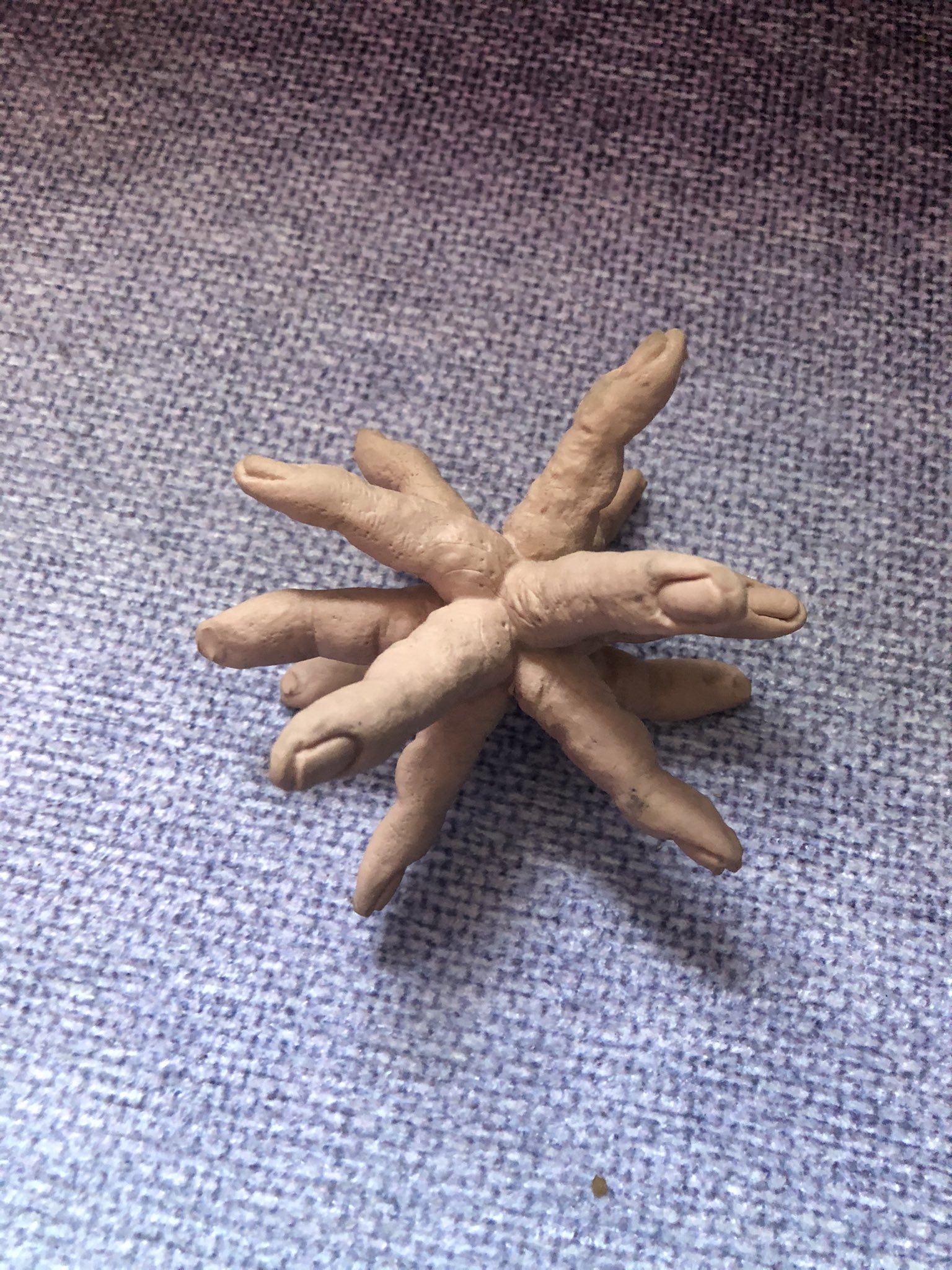 1330268055470034947-0