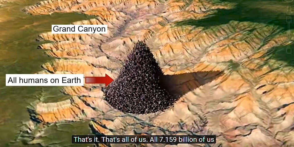 1397960354416644097-0