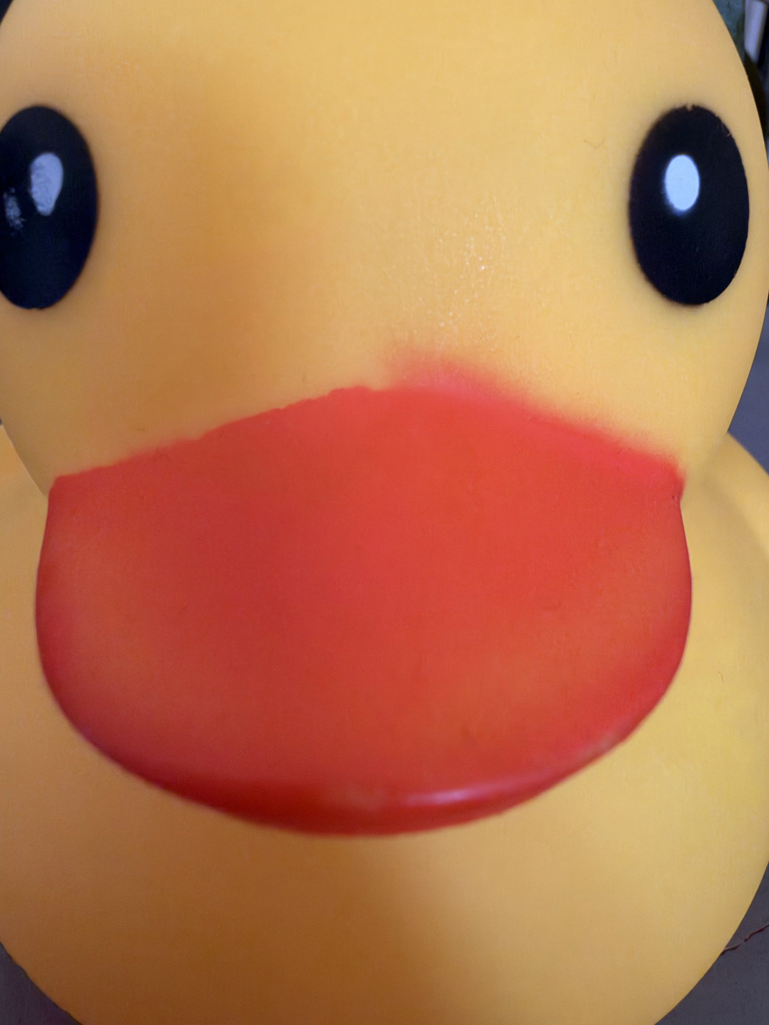 A close-up shot of a yellow rubber duck's face, showing its black eyes with white pupils and a large, bright orange beak. The duck's head fills the entire frame.