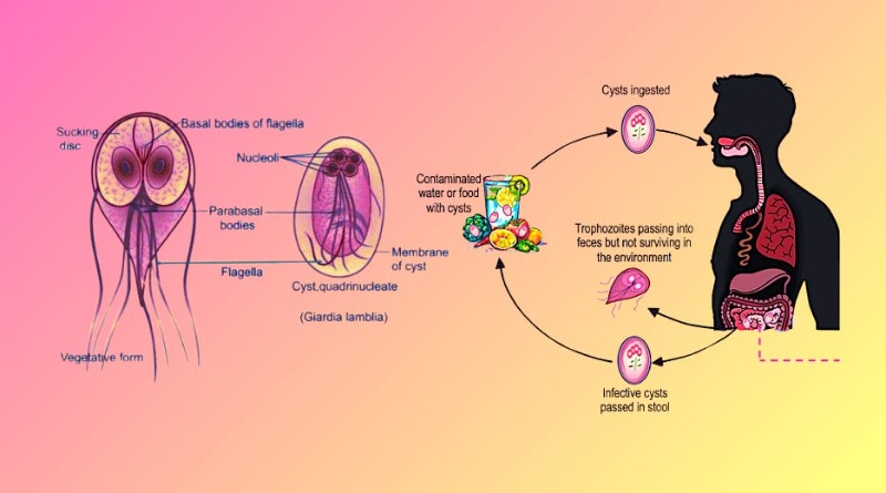 original art by @emilybynight from The Ick